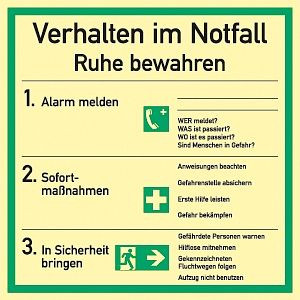 Moedel Verhalten im Notfall ISO 7010, Kunststoff, langnachleuchtend, 180x180 mm, 57295