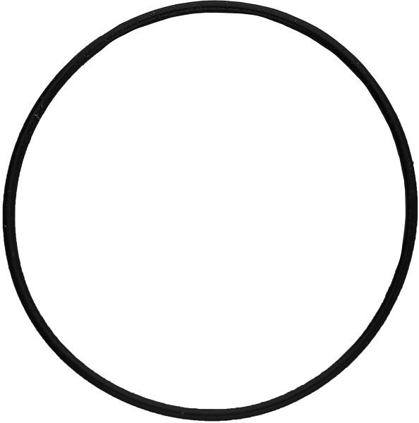 KS Tools O-Ring, 515.1625-R014P, 4042146797303