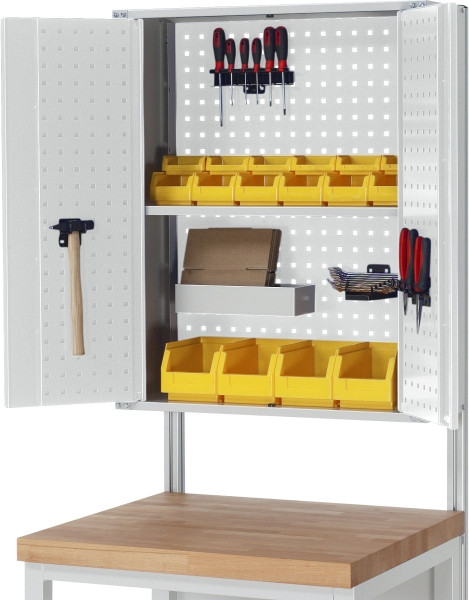 RAU Flügeltürschrank / Hängeschrank, B750xT250xH900mm, RAL7035/RAL7035, EE-FTS-750.12