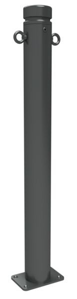 Schake Stilpoller Typ 482PB -ortsfest- zum Audfübeln, Ø 82mm, mit, Zierkopf inkl Ziernut, beschichtet DB 703, mit 2 Ösen, 482PB+2