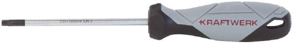 Kraftwerk BASIC LINE Schraubendreher TX T25 x 100 mm, 305.103.025