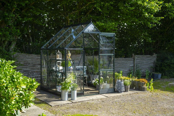 Halls Gewächshaus ICON 6, 3.7 m² Grün mit 3 mm Sicherheitsglas, HR01053