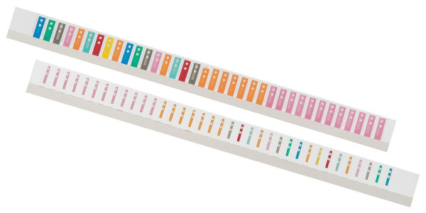 BOI PVC-Reiterleiste, 36-teilig, 235mm, VE: 10 Stück, 9208-00048