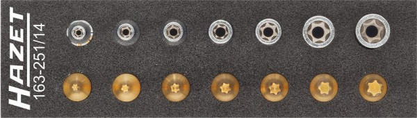 Hazet Werkzeug Satz, TORX®, Vierkant hohl 6,3 mm (1/4 Zoll), Außen TORX® Profil, Innen TORX® Profil, E4 - E11, T10 - T40, Anzahl Werkzeuge: 14, 163-251/14