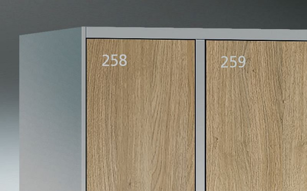 C+P selbstklebende Nummerierung, 3-stellig, Farbe: Lichtgrau, 4400-74956
