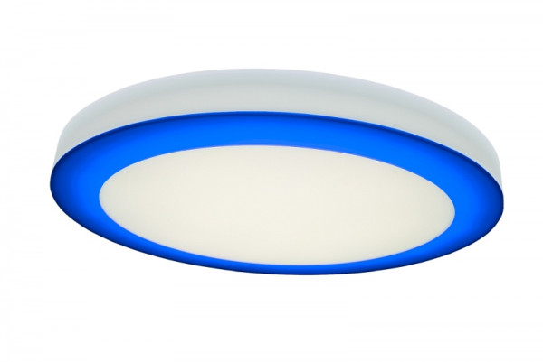 rutec Projekt ASCAR Wand - und Deckenleuchte DALI Durchmesser 845mm, H70mm, 230V, 97W, IP20, 3000K, CRI80 - blau, PBE179