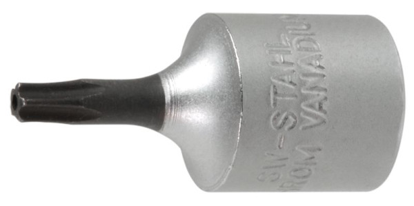 SW-Stahl Schraubendreheinsatz, 1/4", TPR-Profil, IP40, IP/4-T40