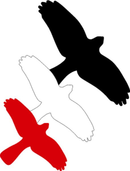 Schilder Klar Vogelschutz für Glasfassaden, 180x115 mm Folie selbstklebend, rot, 3201/29