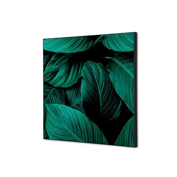 Showdown Displays Spannstoff Wanddekoration SET 40 x 40 Botanische Blätter Grün, TFR22W400-SET-I4