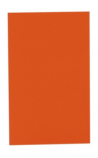 SIGNUM Leerfeld, verzinktes Stahlblech mit Reflexfolie, 70 x 120 mm, Z5005