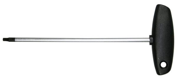 SW-Stahl T-Griff Schraubendreher, T-Profil, T10 x 100 mm, 02010L