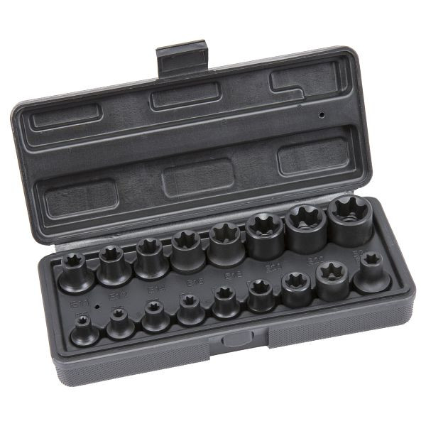 RepTools Steckschlüssel-Einsatz-Set, E-Profil für Torx-Schrauben, 3/8", 1/2" SW E5-E24, 17-teilig, XXL-118900