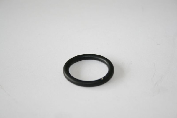 ELMAG O-Ring passend für Teil Nr. 13+14 für 'ROLL WATER EVO', 9402328