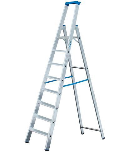 DENIOS Stufenstehleiter aus Aluminium, mit 2 Sicherheitsgurten, 8 Stufen, 156-874