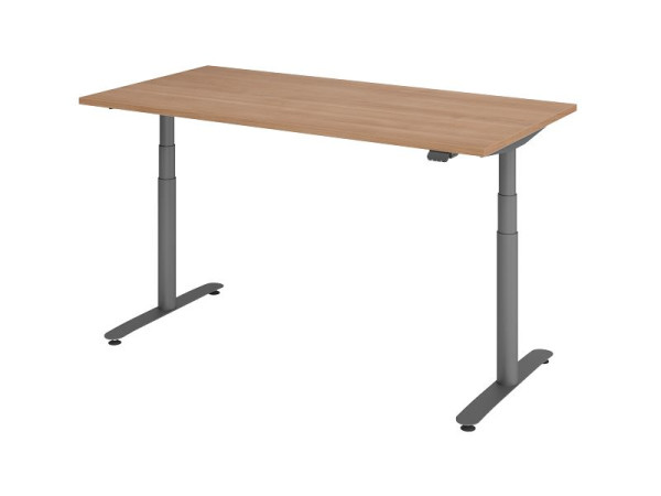 Hammerbacher Sitz-Steh-Schreibtisch elektrisch 160x80cm Nussbaum/Graphit, VXDLR16/N/G