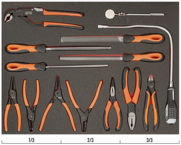 Bahco 3/3 Einlage, Feilen & Zangen, 14-teilig, FF1A118