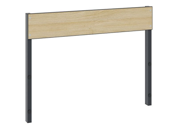 C+P Rückenlehne 1-seitig, Feuchtraum, H796xB1000 mm, Schwarzgrau/HPL Eiche, 8060-731 S10011