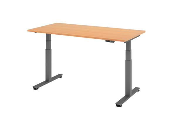 Hammerbacher Sitz-Steh-Schreibtisch elektrisch 160x80cm Buche, Arbeitshöhe 63,5-128,5 cm, VXDSM16/6/G