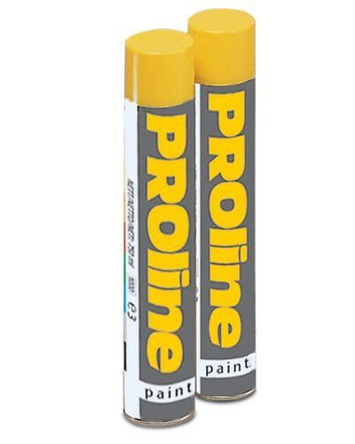 DENIOS PROline-paint Markierfarbe, Dose mit 750 ml, rot, VE: 750 ml, 137172