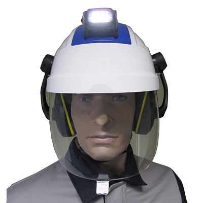 Preising Helm mit Gesichtsschutz GS-ET 29 LB-Klasse 1, 5500ESK-K