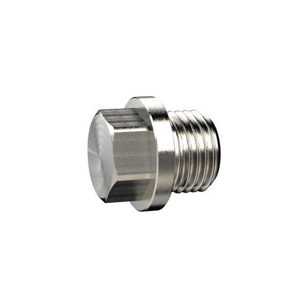 Riegler Verschlussschraube, Außensechskant und Bund, G 1/8, SW 10, Messing vernickelt, 136462