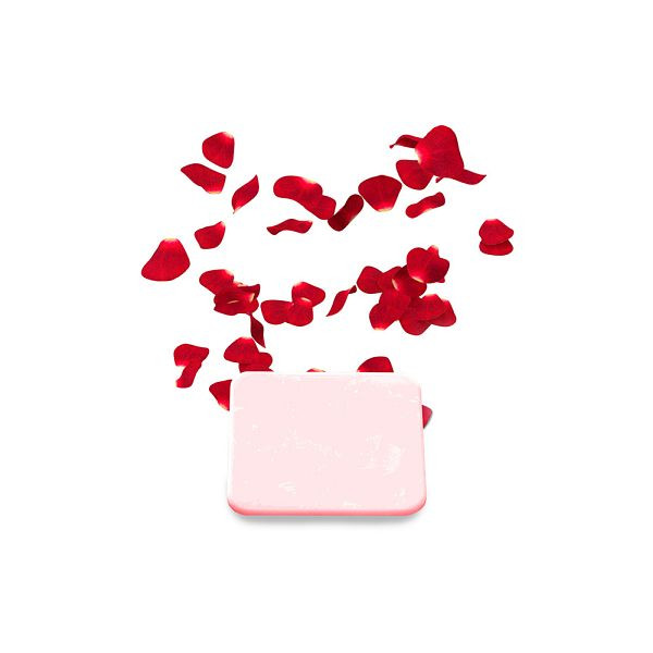 HOME DELUXE Duftplättchen Rose für Ionisator LIMA, 49531