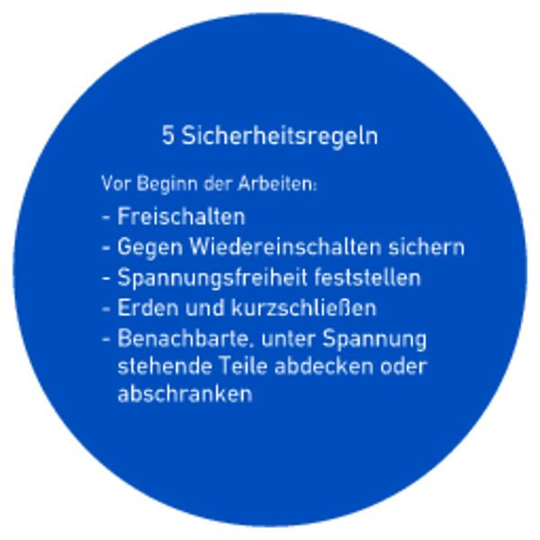 Schilder Klar Aushang 5 Sicherheitsregeln, 200 mm Folie selbstklebend, 7801/62