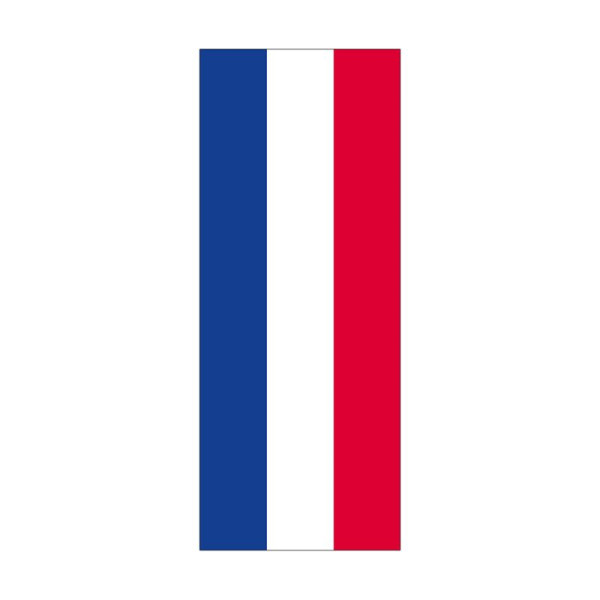 Stein HGS Landesflagge Schleswig-Holstein (ohne Wappen), 400x150cm, FlagTop 110 g/m², für Fahnenmasten ab 8m mit Hohlsaum für Ø 4cm Ausleger, 26636