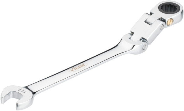 VIGOR Doppelgelenk Ratschen-Ring-Maulschlüssel, Außen-Doppel-Sechskant Profil, Außen-Sechskant Profil, 10 mm, V6752-10