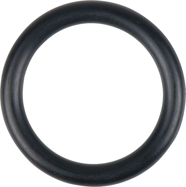 KS Tools O-Ring, 515.1980-R032P, 4042146719459
