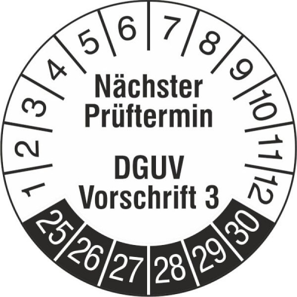 Stein HGS Prüfplaketten o. Jahresfarbe (6 Jahre), Nächster Prüftermin, 2025-2030, 31.c7049-25