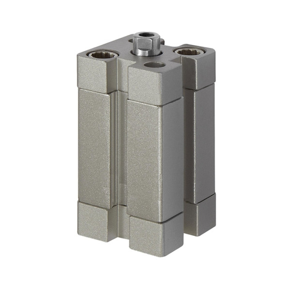 Riegler Kompaktzylinder, einfachwirkend, IG, eingefahren, Ø100, Hub10, G1/8, ISO21287, 155855