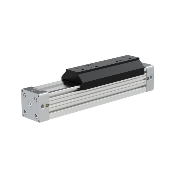Riegler Kolbenstangenloser Zylinder ZRL1S, Ø 32, Hub 1300, Standard, Langsamlauf, 129848