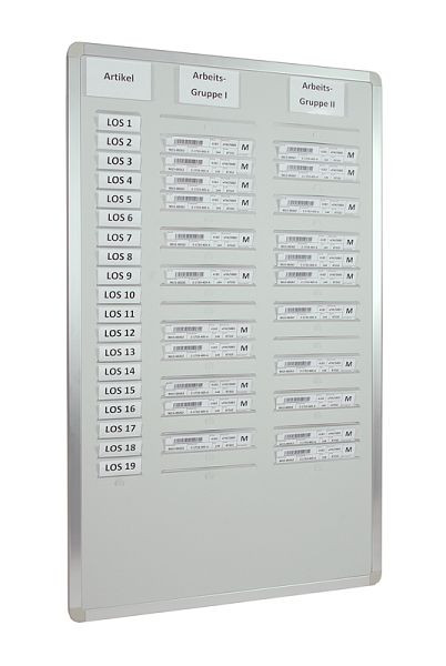 Eichner Einstecktafel "Orga-Easy" für DIN A 5 Belege, Hellgrau, zweireihig, 9089-00004