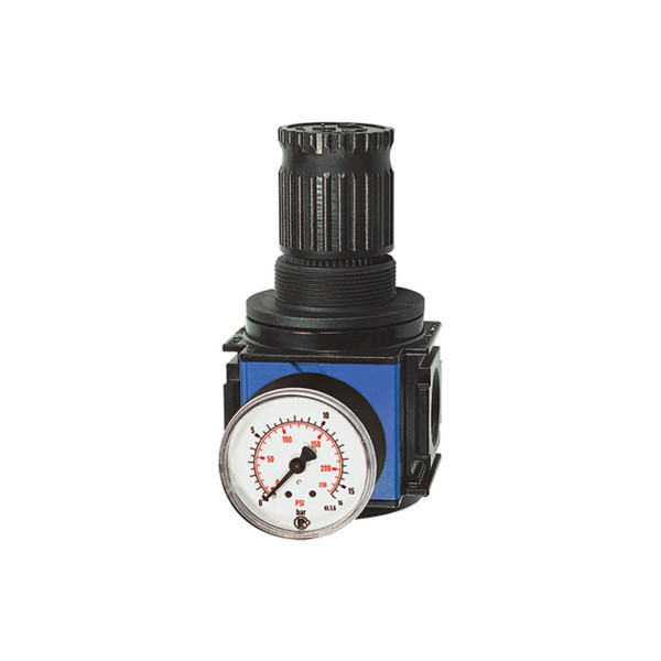 Riegler Präzisionsdruckregler »variobloc«, BG 2, G 1, 0,2 - 6 bar, 149226