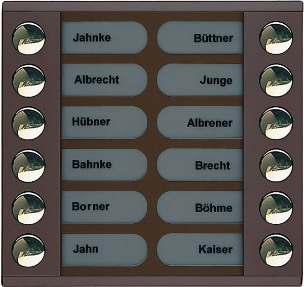 TCS Klingeltastenerweiterung für Audio Außenstation Serie PES/AVE 12 Klingeltasten (rechts-/linksbündig), AP bronze, PET12-EB/04