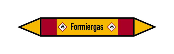 Schilder Klar Rohrleitungskennzeichen Formiergas, 33000x120 mm Folie selbstklebend, 101556/87