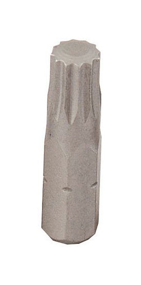 Projahn 1/4" Vielzahn Bit M10 25 mm, 3165