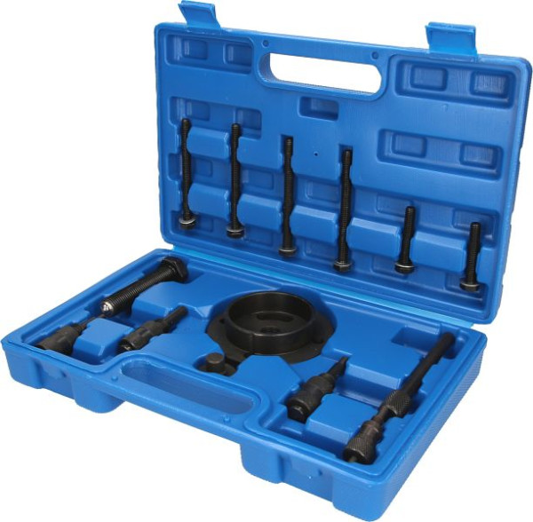 Brilliant Tools Motor-Einstellwerkzeug für Jaguar, BT593200