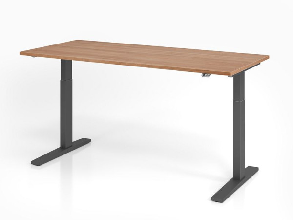 Hammerbacher Schreibtisch XMKA19, 180 x 80 cm, Platte: Nussbaum, 25 mm dick, ABS-Dickkante, Rechteckform, Graphit, VXMKA19/N/G