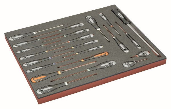 Bahco Fit&Go 3/3 Werkzeugeinlage ERGO Schraubendreher – 22-teilig, FF1A166