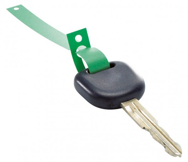 Eichner Schlüsselanhänger aus HDPE Folie, Grün, VE: 1000 Stück, 9219-00106-N
