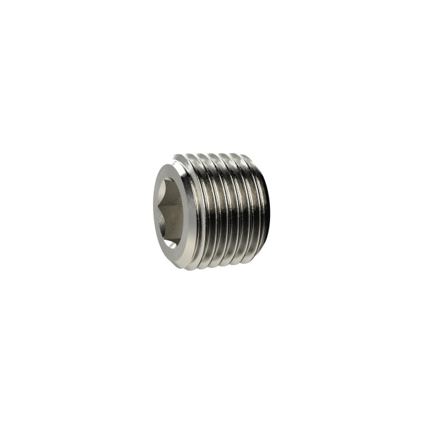 Riegler Verschlussschraube, Innensechskant, ohne Bund, R 1/8, Messing vernickelt, 137938