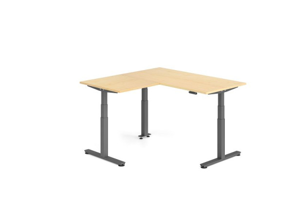 Hammerbacher Sitz-Steh-Winkeltisch 160x160cm Ahorn/Graphit, VXDSMW1608/3/G