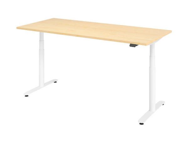 Hammerbacher Sitz-Steh-Schreibtisch elektrisch 180x80cm Ahorn/Weiß, VXDLR19/3/W