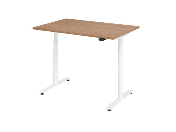 Hammerbacher Sitz-Steh-Schreibtisch elektrisch 120x80cm Nussbaum/Weiß, VXDLR12/N/W