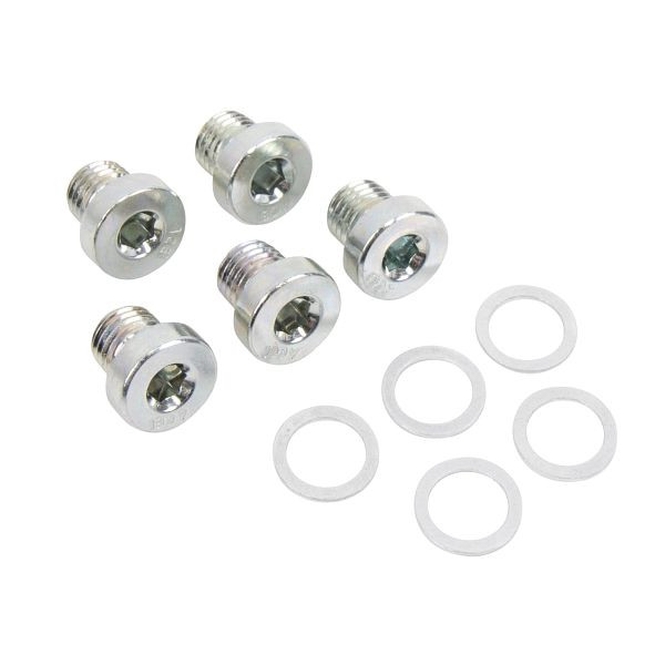 Stahlmaxx Verschlussschraube mit Dichtring, für Art.-Nr. 123205, VE: 5 Stück, XXL-123204