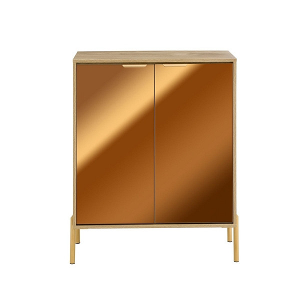 SoBuy Schuhschrank mit 2 Türen Gold 83x38x100cm, Modern, FSB96-G