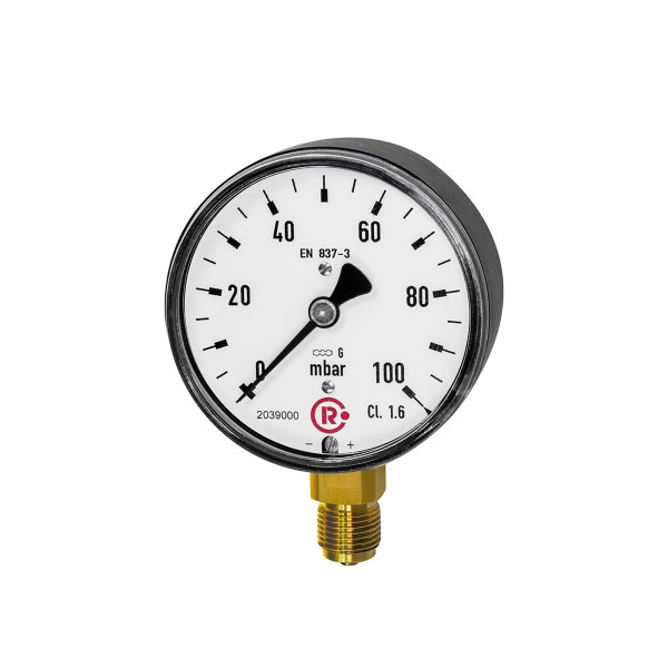 Riegler Kapselfedermanometer, G 1/4 radial unten, -160 / 0 mbar, Ø 63, 199280