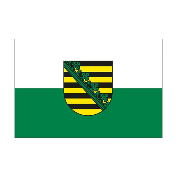 Stein HGS Landesflagge Sachsen, 60 x 90 cm (Querformat), mit Seil und Schlaufe, FlagTop 160 g/m², für Fahnenmasten 6 m, ohne Hohlsaum, 26551